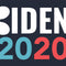 Biden 2020 AirPods Pro 2nd Gen Skin